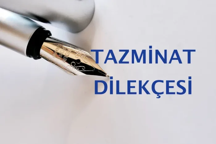 tazminat-dilekcesi